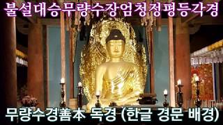 불설무량수경(善本) 독송(유경唯耕, 경문 포함)