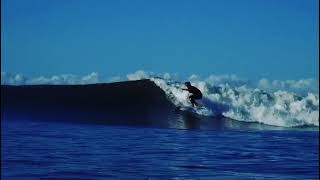 Jon Wegener Surfboards The Bluegill