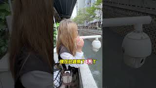 哈軒翡翠手鐲| 別說我不關照你們，1200萬留給你們了！#翡翠手鐲#玉翡翠手鐲#天然翡翠#玉手鐲