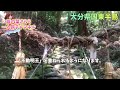 大分 豊後高田 熊野磨崖仏 九州 観光スポット 旅行動画 一人旅 旅行 travel japan 大分観光 大分旅 国東半島 六郷満山 ooita 神社仏閣巡り 史跡