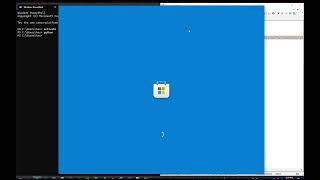 A code obfuscation technique