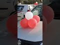 First time 31 cars 🚗 celebration