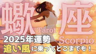 【蠍座】2025年の運勢🐉追い風が吹いている！流れに乗って🙌最高級の未来を切り開く🌈タロット占い【年間保存版】