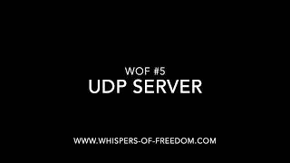 WOF #5 | Java Spring UDP server