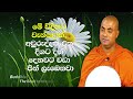 අසීමිත ආනිසංස ලැබෙන වන්දනා ක්‍රම koralayagama saranathissa thero