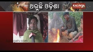 Bone-Chilling Cold With Heavy Fog Making People's Life Miserable In Nuapada