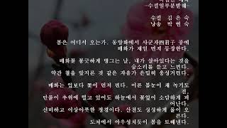 월간 시사문단 통권 262호 2025년 2월호 신작수필 김은숙 수필작가 작품 바람난 매화 낭송 박현숙