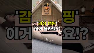 해외 캠퍼들 사이에서 폭풍 유행하던😃 해외 기발한 캠핑 용품🤙