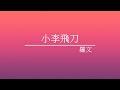 《小李飛刀》羅文 經典音樂網