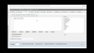 SQL Wildcards