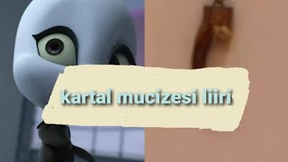 kwami tanıtımı : liiri (kartal mucizesi)/Mucize:uğur böceği ile kara kedi