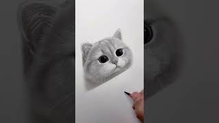 drawing art Cat #cat #wow #shortfeed