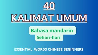 Beginner --40 Essential Words for Chinese Beginners ||40 Kalimat Penting bahasa mandarin sehari hari