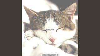 温和训练猫梦想