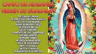 Alabanzas a la Virgen de Guadalupe🙏💐 40 Cantos A La Virgen De Guadalupe -  La Vi