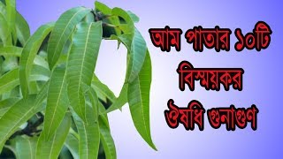 আম পাতার ১০টি বিস্ময়কর ঔষধি গুনাগুণ - 10 Amazing Benefits Of Mango Leaves in Bangla