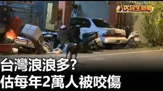 台灣浪浪多? 估每年2萬人被咬傷 |【民生八方事】| 2023100202 @gtvnews27