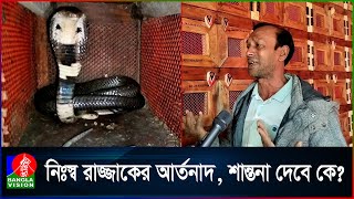 স্ত্রীর গহনা বন্ধক রেখে করেছেন সাপের খামার, এখন শুধুই কান্না!