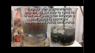 Polymerization of Heavy Metals