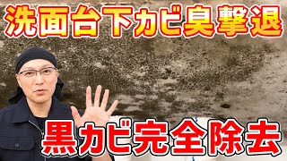 【カビ臭ゼロ】洗面台下に生えた黒カビ落としと防カビ対策でカビの臭いを完全に消し去る！