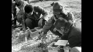 老照片：1946年大遣返，回到日本的东北日侨俘