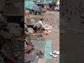 Heartwarming video shows cobbler feeding birds at the corner of the road. Viral#shorts #viralvideo