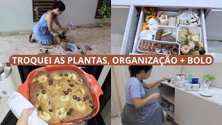 PLANTANDO AS NOVAS ORQUÍDEAS, ORGANIZAÇÃO DO BUFFET + BOLO DE BANANA COM AVEIA