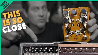 Can A Pedal Sound Like A Fender Amp? | VS Audio Blackbird Deluxe | Gear Corner