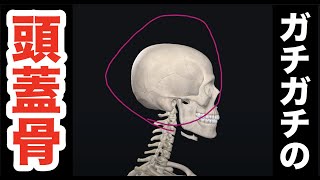 ガチガチの””頭蓋骨””を一撃でユルユルにする、最強の筋膜リリーステクニック！【腰痛 治し方 ストレッチ】How to touch the skull to cure back pain