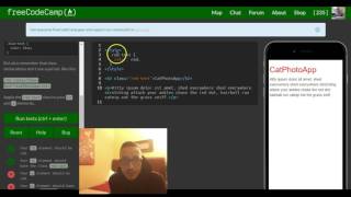 Style Multiple Elements with a CSS Class, freeCodeCamp review html & css