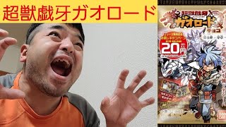 【超獣戯牙ガオロード 第０弾-序章-】ついにかずぴもガオロード開封😆👍