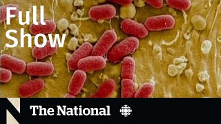 CBC News: The National | Daycare E. coli, Convoy leaders trial, Auto thefts