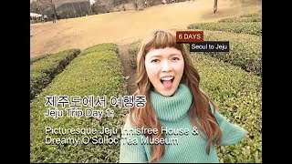 [濟州VLOG] Day 1: 與「瘟」神同行 亦可盡情由西玩到東- Innisfree Jeju House/ Osulloc 오설록Tea Museum/ 新昌風車海岸道路/ 海岸柱壯節理帶