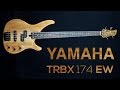 YAMAHA TRBX 174 EW + Gotoh 201B-4  - SOUND TEST