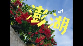 ［澎湖#1］海宏海鮮/通梁古榕/易家仙人掌/跨海大橋/二崁古厝