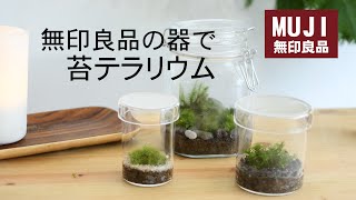 無印良品の器で苔テラリウムを作る #11