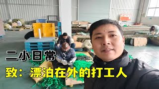 这里是上海浙江的交汇处，实拍工厂打工人日常