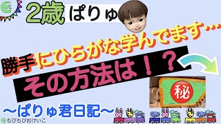 【ひらがなの覚え方】子どもが勝手にドンドン学ぶおもちゃ！