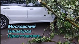 Обогащаюсь на мусорках Москвы.  Московский ураган  .