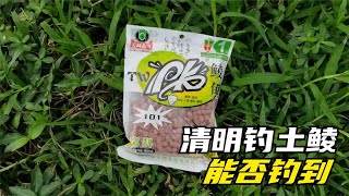 清明陰雨天能否釣到土鯪？鯪魚到底開口沒有，水下測試告訴妳答案