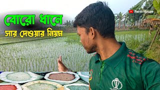 বোরো মৌসুমে ধানের ফলন বাড়াতে কীভাবে সার ব্যবহার করবেন?