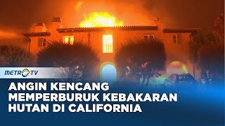 Angin Kencang Memperburuk Kebakaran Hutan di California