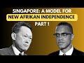 The Singapore Model For New Afrikan Independence Part 1