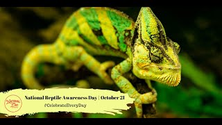 National Reptile Awareness Day | October 21