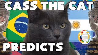 CASS THE CAT - 2021 COPA AMERICA FINAL PREDICTION - BRAZIL VS ARGENTINA