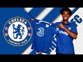 Carney Chukwuemeka ● Welcome to Chelsea 🔵 Best Skills, Tackles & Goals