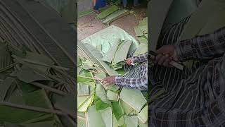 Banana leaf for pooja and Hotels-பூஜை மற்றும் ஹோட்டல்களுக்கு வாழை இலை#farmers