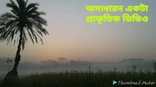 কুয়াশাছন্ন সকাল Beautiful Bangladesh / good Morning Bangladesh