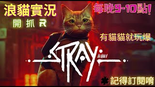 [浪貓 stray] 我就是那隻有聲音的喵~冒險去!