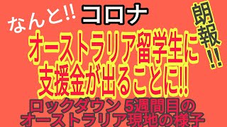 コロナ オーストラリア留学生へ支援金が出ることに!!! ロックダウン5週目のオーストラリア現地の状況を語ってます!